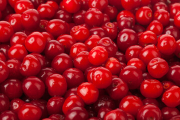 Red juicy ripe cherry as a background.