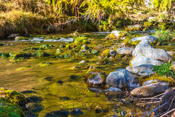 autumnal mountain landscape inside the Alpe Devero, Val D'Ossola, Verbania, Italia