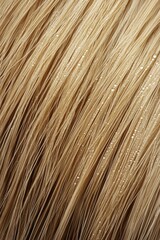 Fluffy fur close-up with dew drops glistening in morning light, revealing intricate details and nature's beauty, suitable for fresh, vibrant imagery.