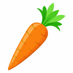 Carrot isolated white