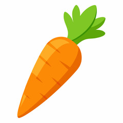 Carrot isolated white