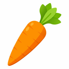 Carrot isolated white
