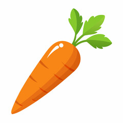 Carrot isolated white