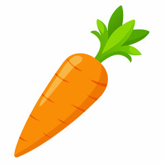 Carrot isolated white