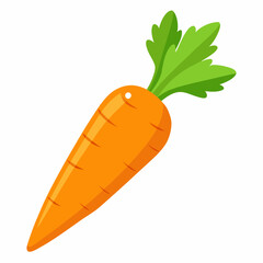 Carrot isolated white