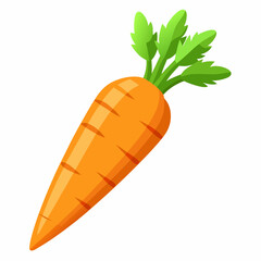 Carrot isolated white