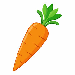 Carrot isolated white