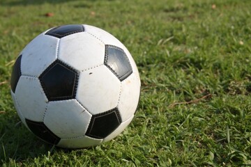 Obraz premium Soccer Ball in Grassy Field