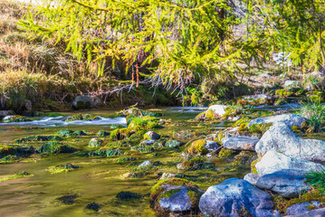 autumnal mountain landscape inside the Alpe Devero, Val D'Ossola, Verbania, Italia