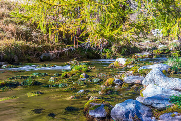 autumnal mountain landscape inside the Alpe Devero, Val D'Ossola, Verbania, Italia