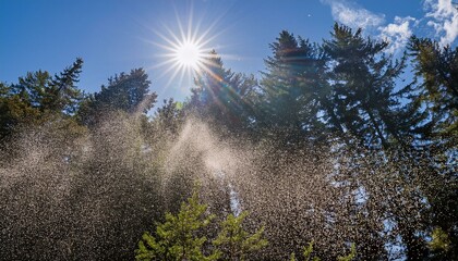 花粉が舞っている様子