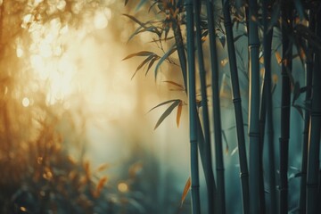 Sunlight filtering through bamboo creates a tranquil, warm atmosphere