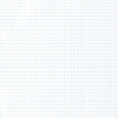 Minimalistic Grid Paper Template for Professional Presentations