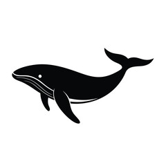 Blue Whale vector illustration