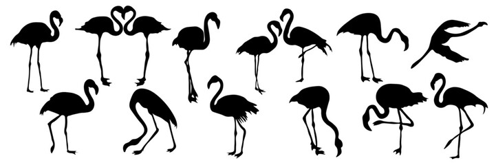 Set of flamingo silhouettes. Couples of flamingos in love, shadows.  Signs, symbols of the outline of a pink flamingo