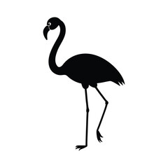 Flamingo vector illustration