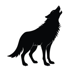 wolf vector illustration