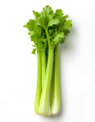 bunch of fresh green celery