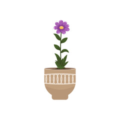 Garden flowers in flowerpot isolated on transparent background. House growing potted houseplants set for greenhouse design. Vector illustration