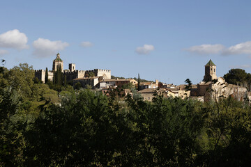 Fototapeta premium Santes Creus cistercian abbey, Aiguamurcia, Catalonia, Spain