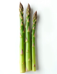 Fototapeta premium asparagus on white background