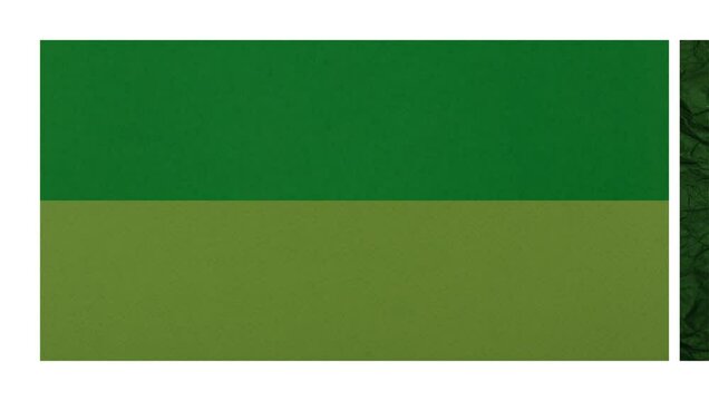 frame, layout, design, pattern, green, background