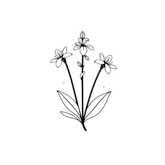 Elegant Line Art Botanical Flower Illustration. Simple, Minimalist Floral Design, Perfect for Nature Lovers and Decor