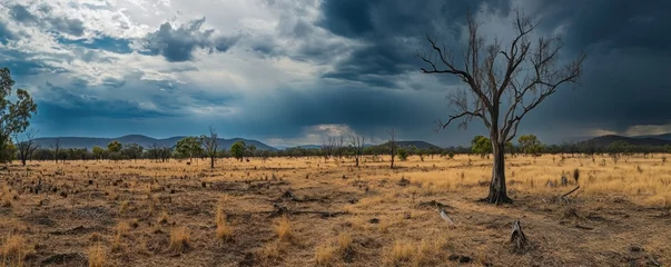 Papier peint photo  Outback Plains Stormy Sky, Dry Landscape, Background Mountains  © STwul