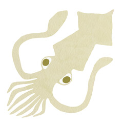 Squid seafood watercolor drawing with transparent background. Illustration for restaurant menu or aquariums. Sea animals in colorful style.