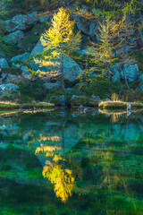 autumnal mountain landscape with a small lake inside the Alpe Devero, Val D'Ossola, Verbania, Italia	