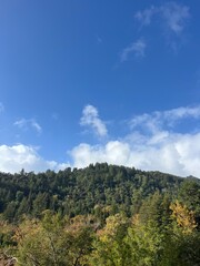 Mountain, trees, nature