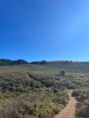Trail, nature