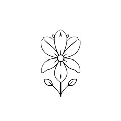 Simple Line Flower Drawing: Minimalist Botanical Illustration, Elegant Floral Design, Black and White Vector Graphic, Nature Sketch