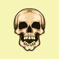Vintage Style smile looking skull design