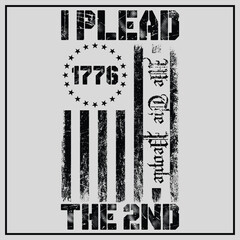 I Plead The 2nd Amendment We The People T-Shirt, 2nd amendment mens shirt Design