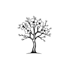 Obraz premium Cherry Blossom Tree: Elegant Black and White Floral Illustration. Perfect for spring-themed designs, home decor, or nature-inspired projects.