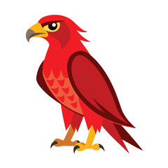 Red-Tailed Hawk Vector Illustration Cartoon, Clipart & Line Art Design.eps