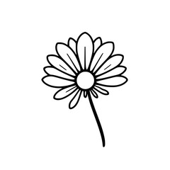 Elegant Line Art Daisy Flower Drawing: Simple Botanical Illustration, Minimalist Floral Design, Black and White Aesthetic, Pretty Bloom Sketch, Cute Graphic