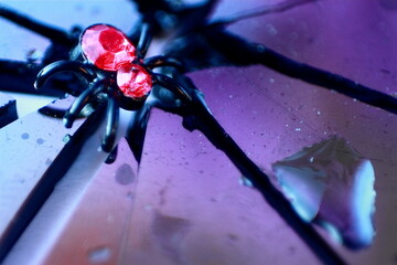 macro of spider shaped earring over broken glass with reflections