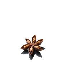 A single star anise spice rests on a reflective surface. isolated on transparent background 