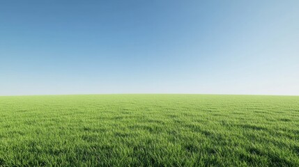 Fototapeta premium Vast Green Field Under a Clear Blue Sky