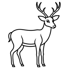 Minimalist Elephant Line Art Vector