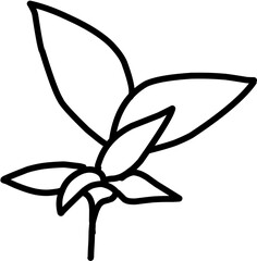 Coffee leaf . Hand drawn vector isolated doodles. 