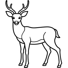Minimalist Deer Line Art Vector Design