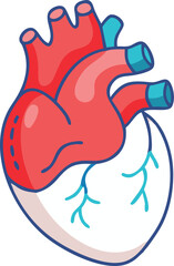 Human heart design over white background vector illustration. Human heart anatomy. Heart medical science vector illustration 