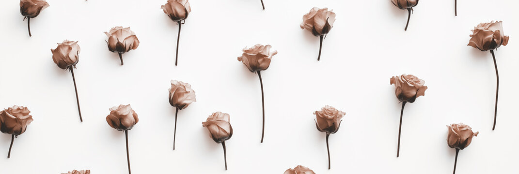 Mocha mousse, brown roses flat lay arrangement on white background. Floral decor, delicate flowers arranged evenly