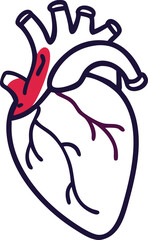 Human heart design over white background vector illustration. Human heart anatomy. Heart medical science vector illustration 