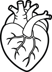 Human heart design over white background vector illustration. Human heart anatomy. Heart medical science vector illustration 