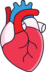 Human heart design over white background vector illustration. Human heart anatomy. Heart medical science vector illustration 