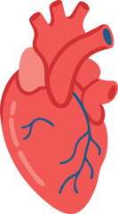 Human heart design over white background vector illustration. Human heart anatomy. Heart medical science vector illustration 